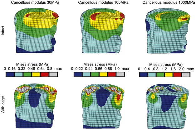 Fig. 3.