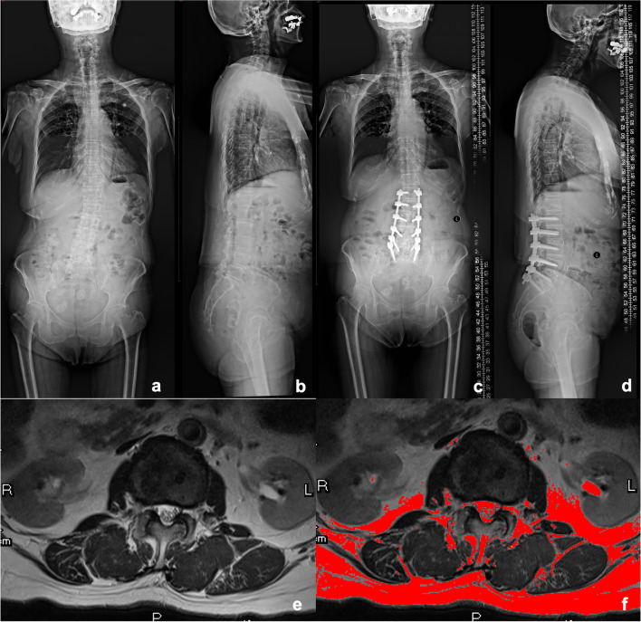 Fig. 7