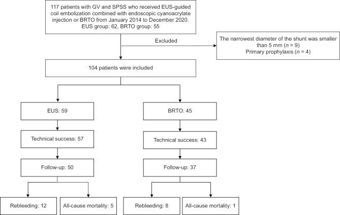 Efficacy and safety of EUS-guided coil embolization combined with ...