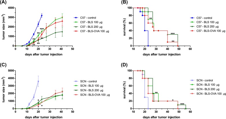 Brucella spp. Lumazine Synthase Induces a TLR4-Mediated Protective ...