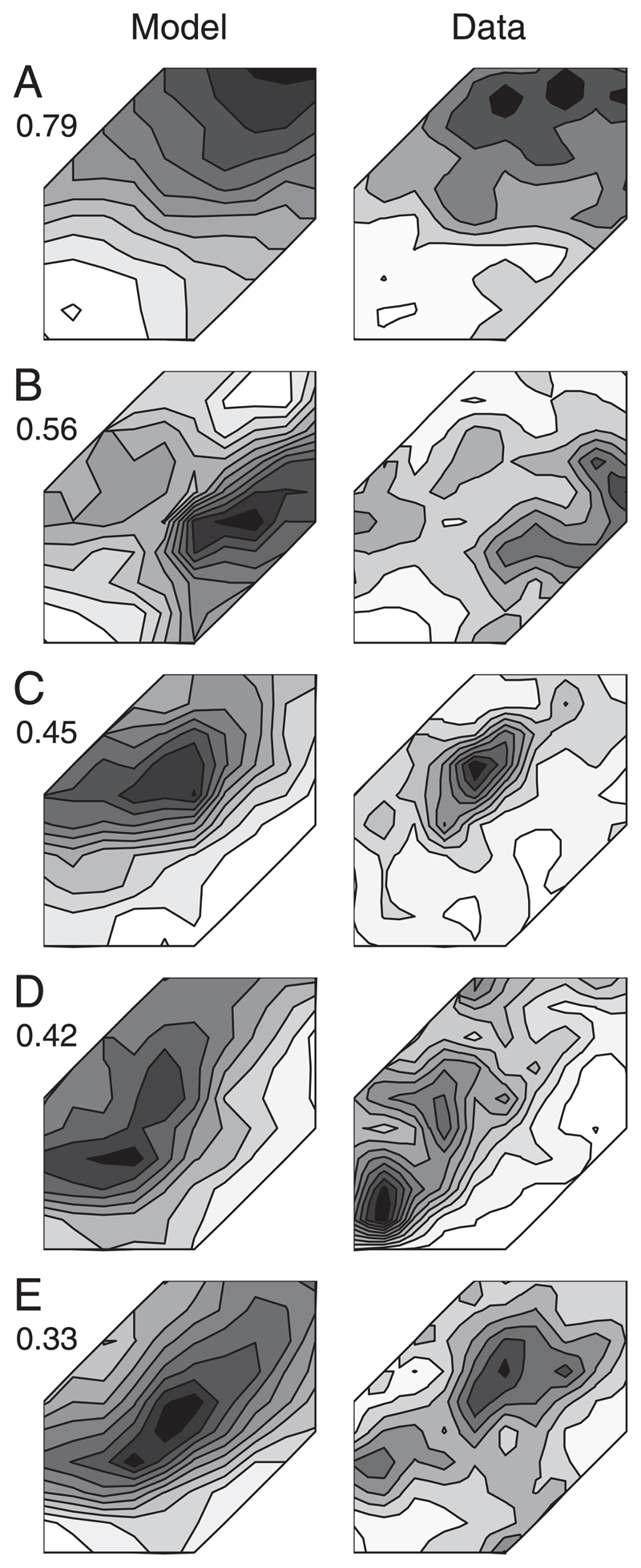 Fig. 8