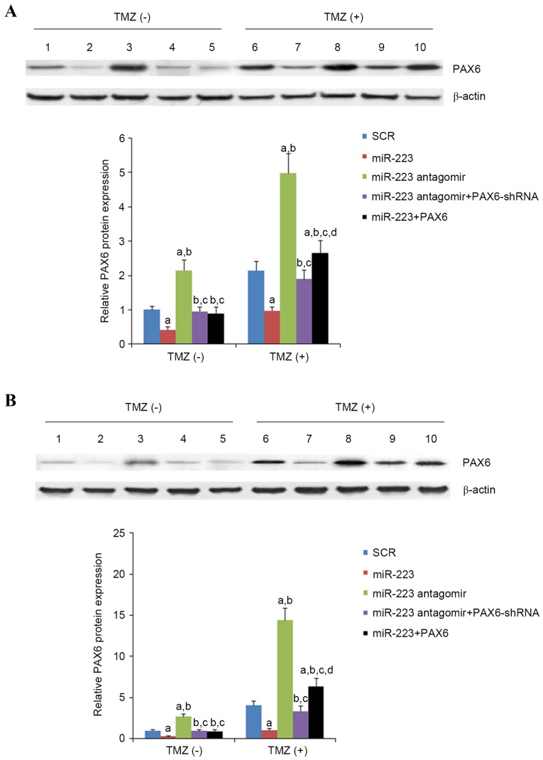 Figure 6.