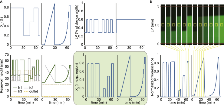 Figure 2