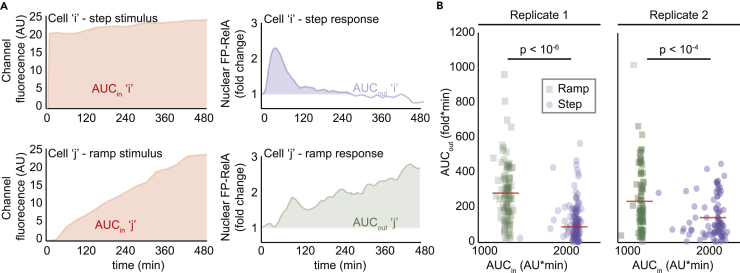 Figure 5