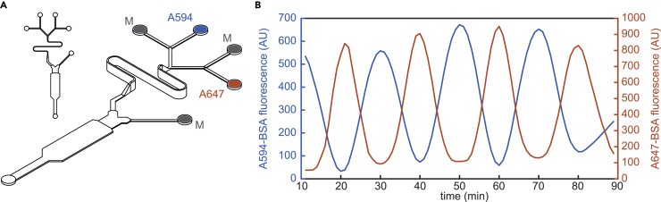 Figure 3