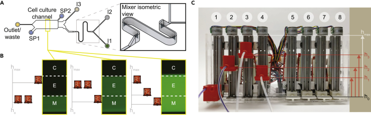 Figure 1