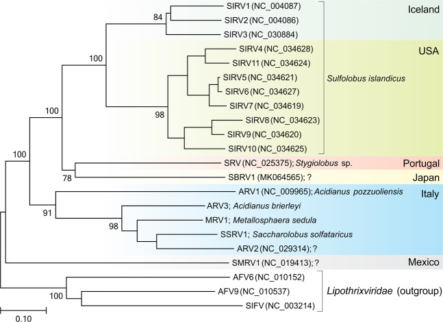 Fig. 6