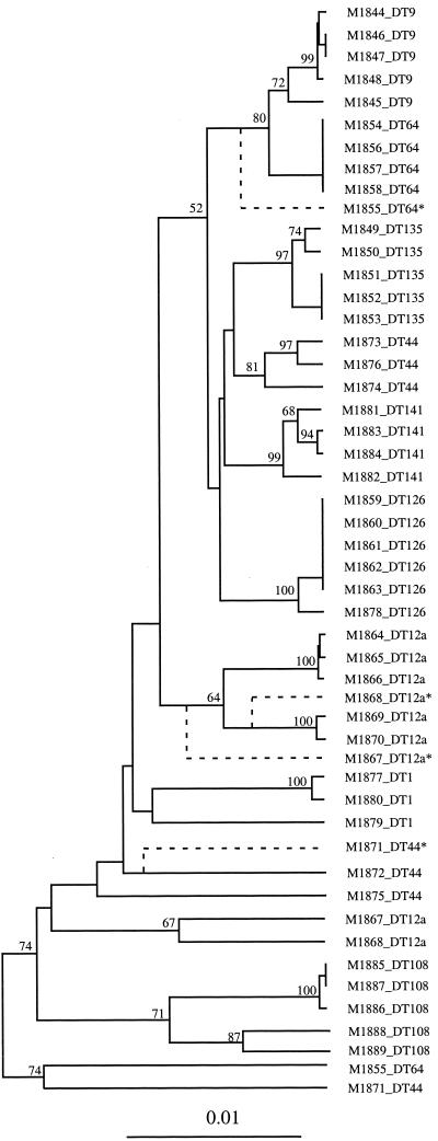 FIG. 1.