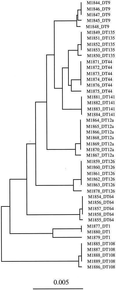 FIG. 2.