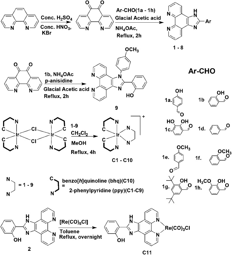 Scheme 1