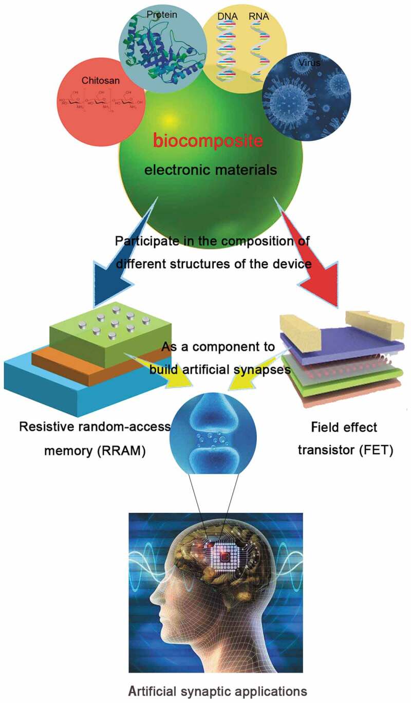 Figure 1.