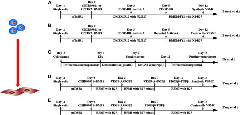 FIGURE 4