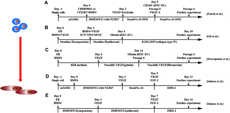 FIGURE 3