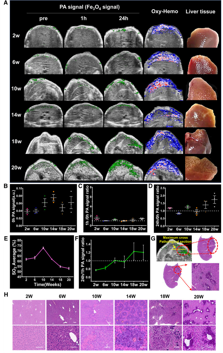 Fig. 6