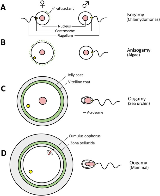 Figure 9