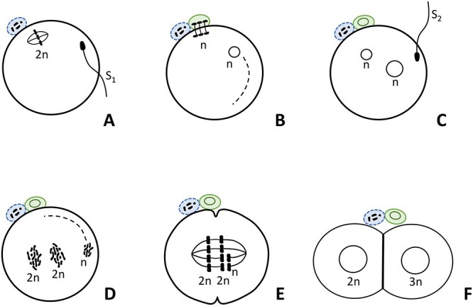 Figure 8