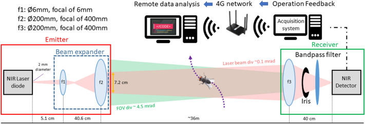 Fig. 1