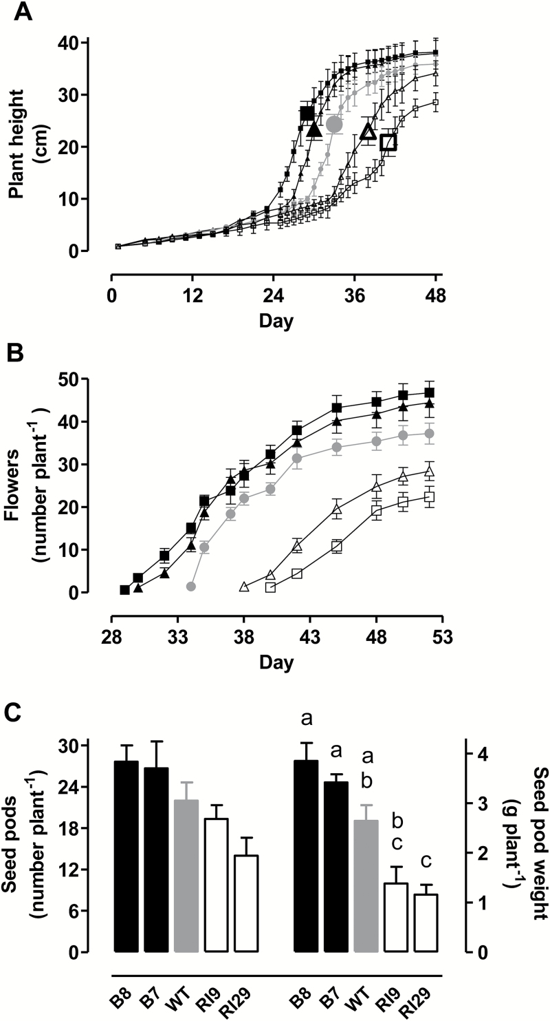 Fig. 8.