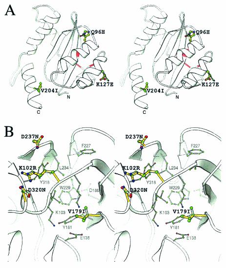 FIG. 7.