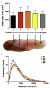 Figure 6.5