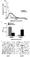 Figure 6.4