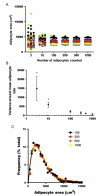 Figure 6.6