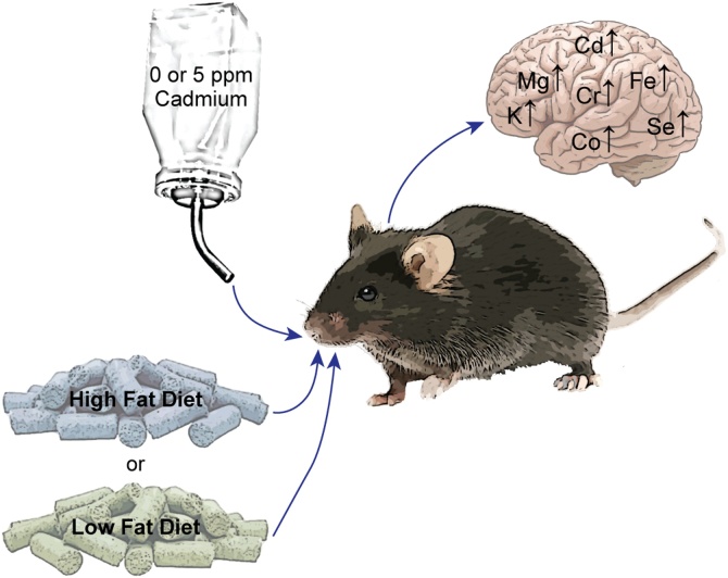 Fig. 3