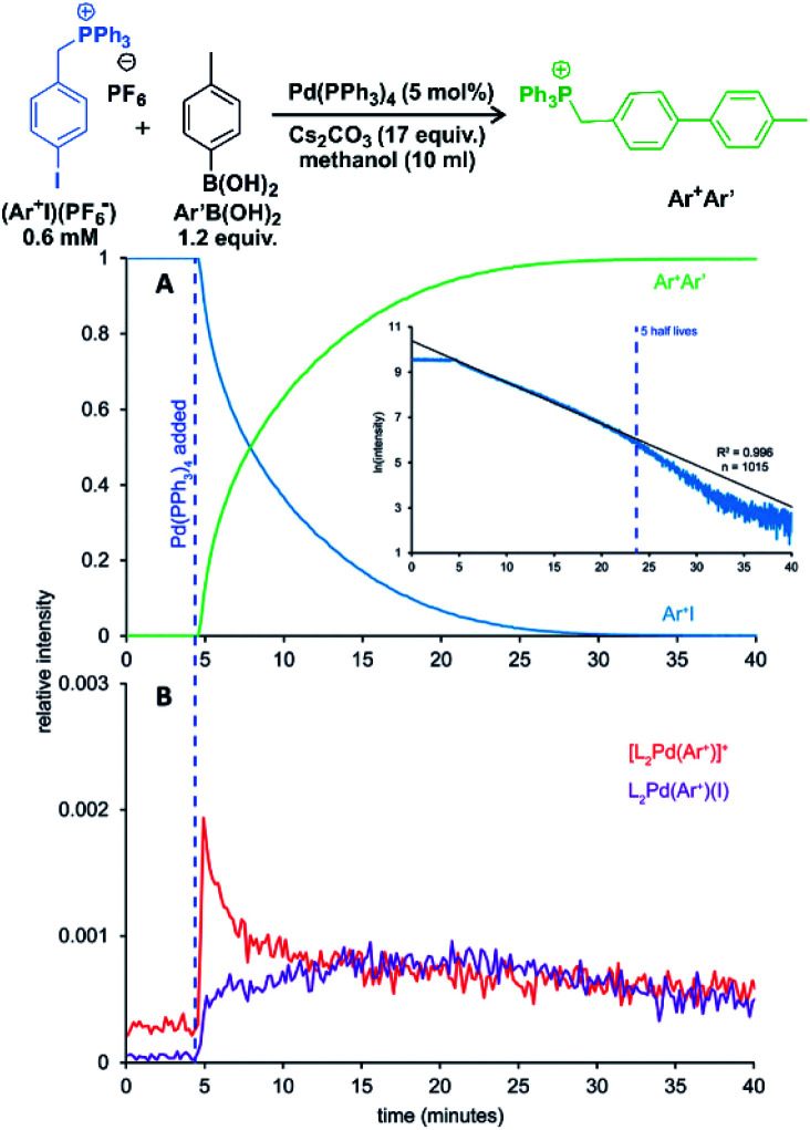 Fig. 12