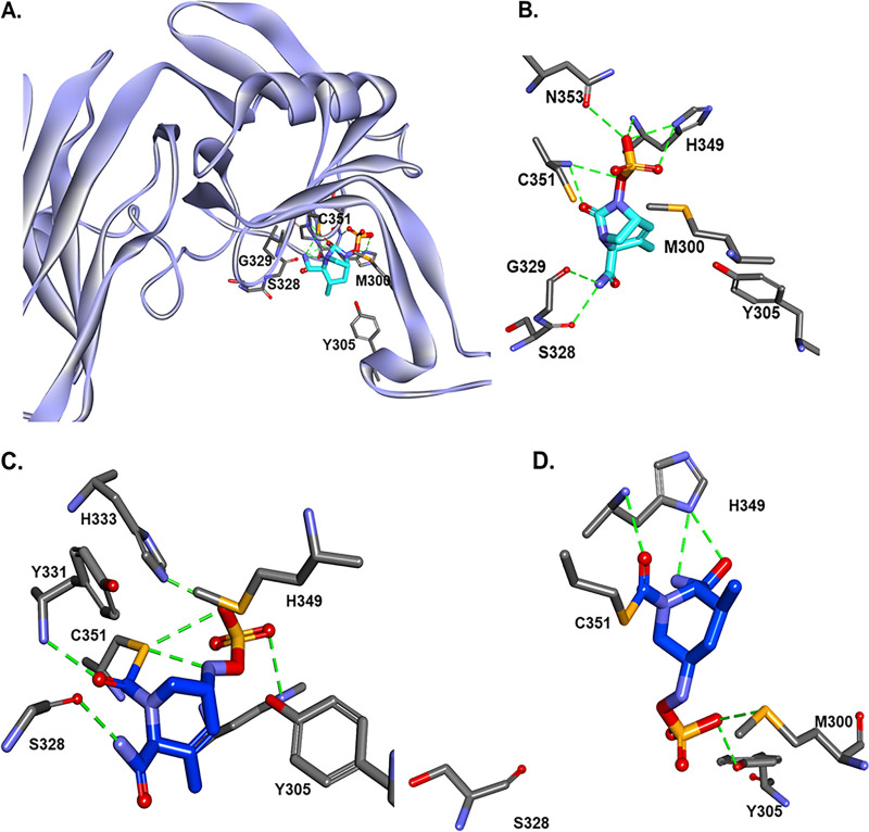 FIG 6