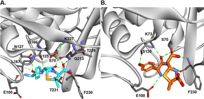 FIG 8