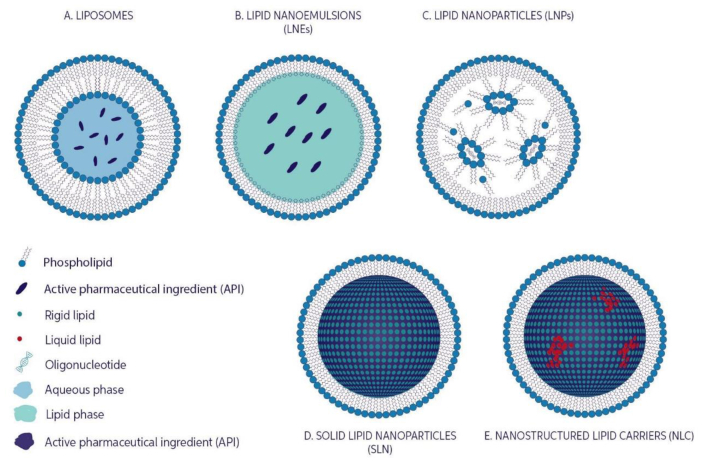 Figure 3