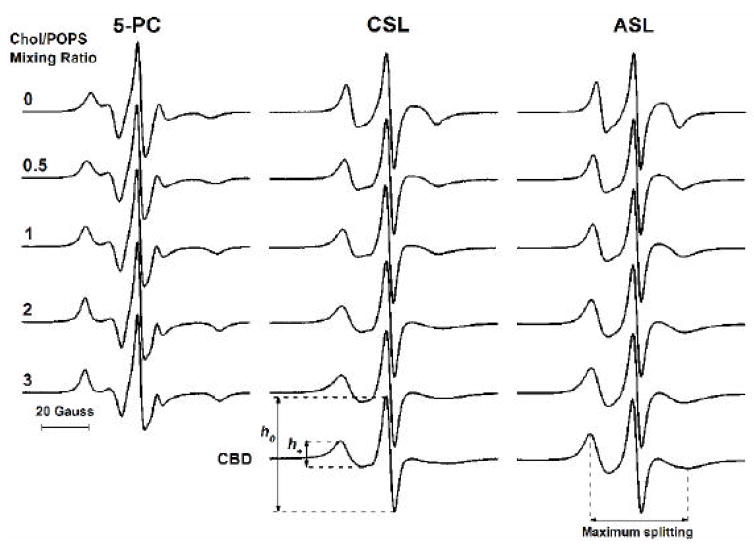 Fig. 4