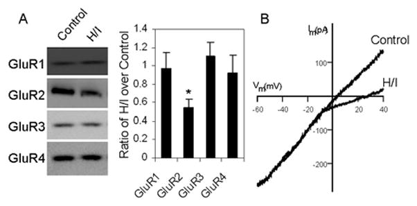 Fig. 13