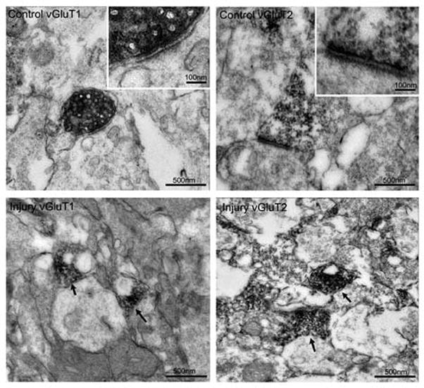 Fig. 10