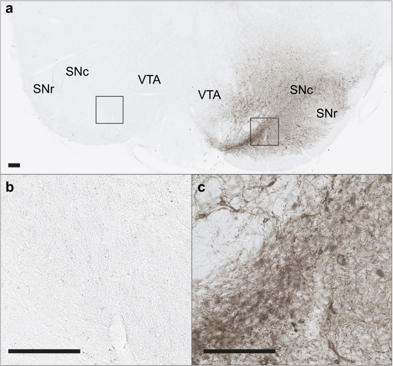 Fig. S5.