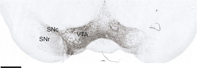 Fig. S6.