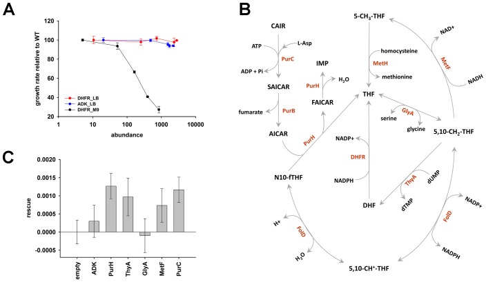 Figure 6.