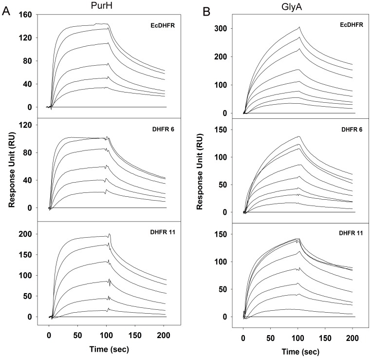 Figure 7—figure supplement 1.