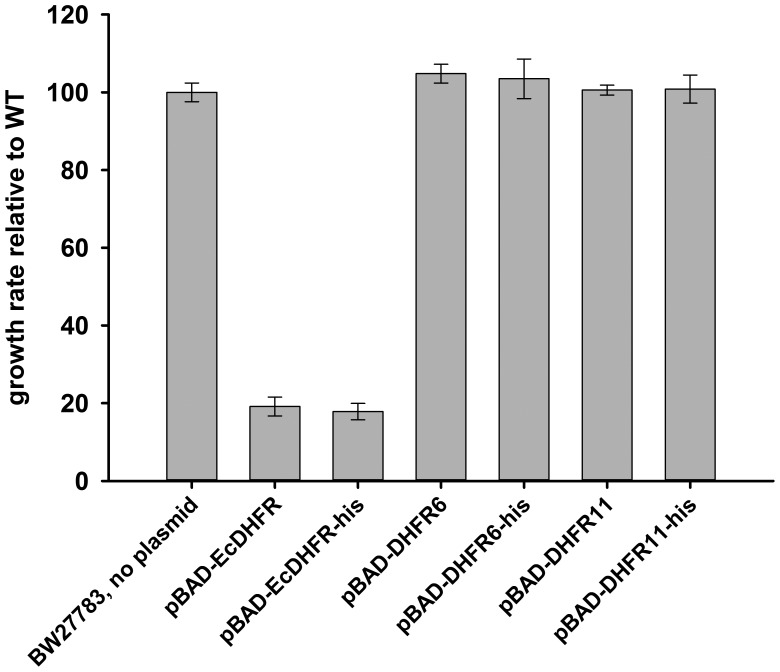 Figure 4—figure supplement 2.