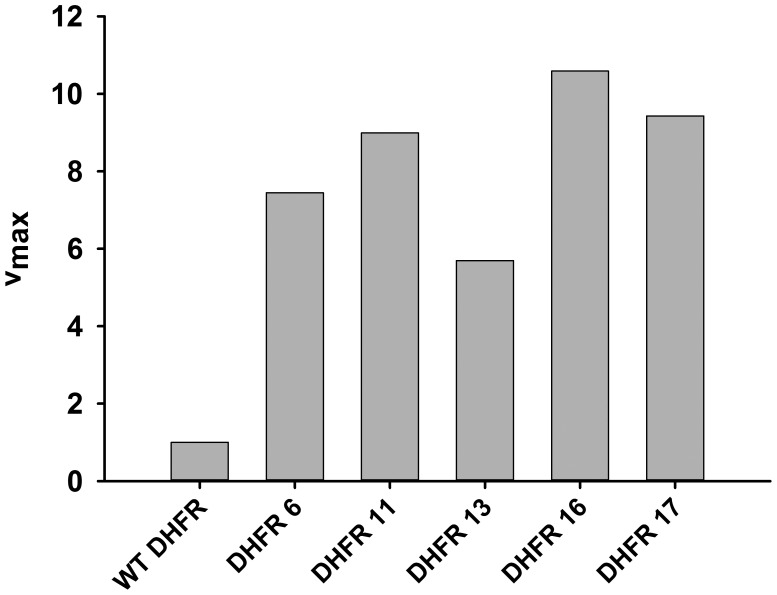 Figure 4—figure supplement 1.