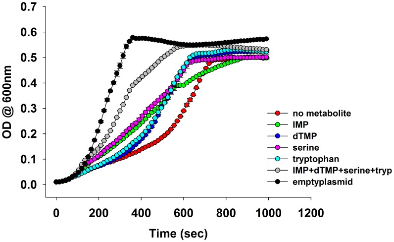 Figure 3—figure supplement 1.