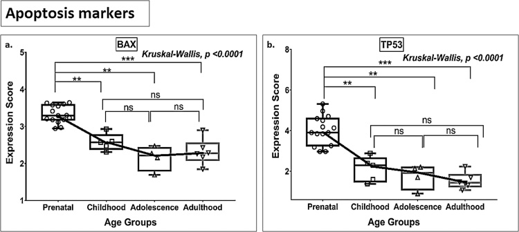 Fig. 10