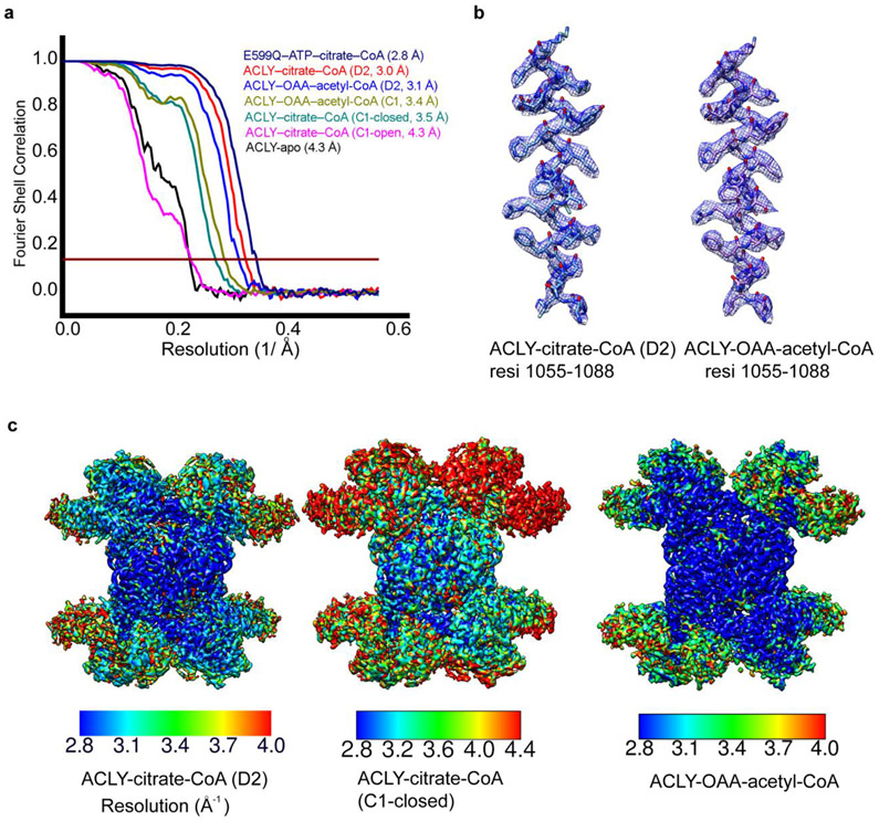 Extended Data Fig. 4.