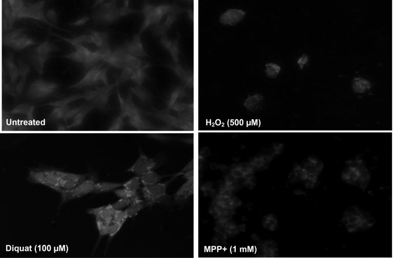 Fig. 10