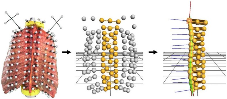 Fig 3