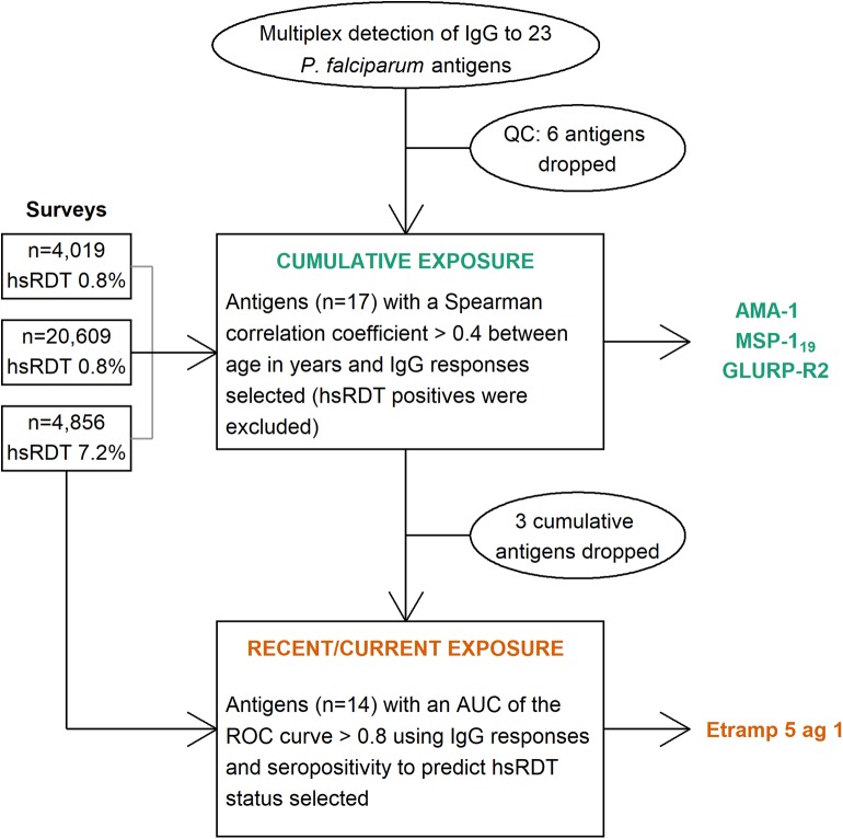 Graphical Abstract