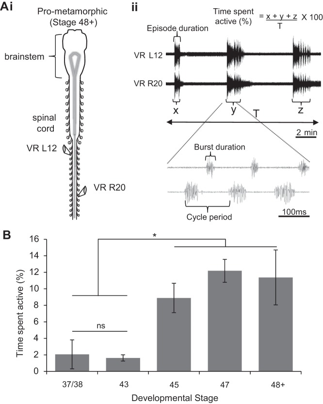 Fig. 3.