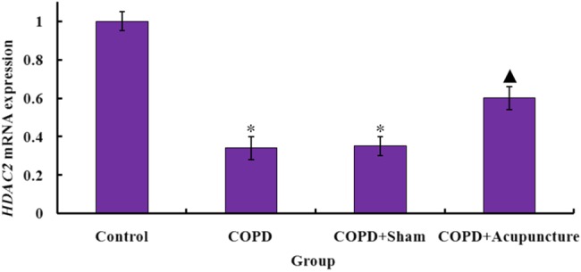 Figure 5