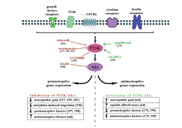 Fig. (6)