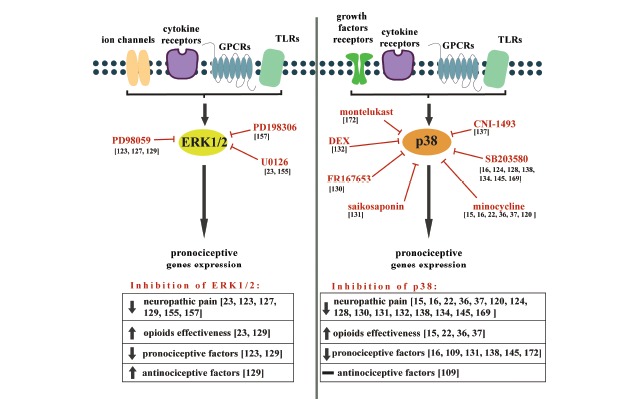 Fig. (3)